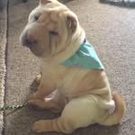 Cathy Harte - @cathy.harte1 - Instagram
