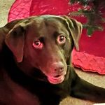 Cathy Hartley - @cathyhartleych - Instagram