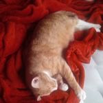 cathy hartman - @cathyhartman8 - Instagram