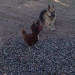 native56 - @cathy_hartman - Instagram