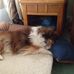 Cathy Harvey - Facebook