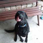 Cathy Hazel - @cat08_68 - Instagram