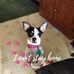 Cathy Healy - Facebook