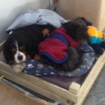 Cathy Healy - @woopipoop - Instagram