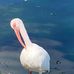 Cathy Herold - Facebook