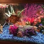 Cathy Hess - @hess4735 - Instagram