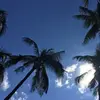 Cathy Hirschbock - @cathyhirschbock - TikTok