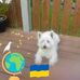Cathy Hodgson - Facebook