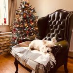 Cathy Hodgson - @hodgson6880 - Instagram
