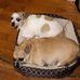 Cathy Hoffman - Facebook