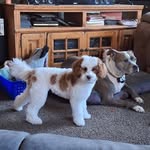 Cathy Hoffman - @cathy.bomar - Instagram