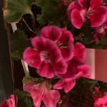 Cathy Hoffman - @cathyhoffman2.0 - Instagram