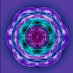 Cathy Hoffman, MSN, AP, DOM - @sensiblemedicine - Instagram