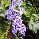 Cathy Holt - Facebook