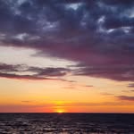 Cathy Holt - @cathdon11 - Instagram