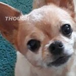 Cathy Holt - @cathyholt399 - Instagram