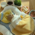 Cathy Hong - @hong_cathy_ - Instagram