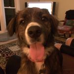 Cathy Hooker - @cathy1119h - Instagram
