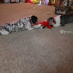 Cathy Houser - @cathyhouser.73 - Instagram