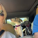 Cathy Hunt - @chatty2565 - Instagram