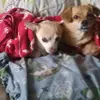 Cathy Irvine - @cathy.irvine - TikTok