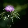cathyirvine539 - @cathyirvine539 - TikTok