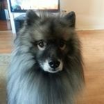 Cathy Irwin Cooledge - @cathycooledge - Instagram