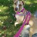 Catherine Ivers - Facebook