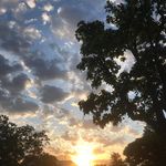 Cathy Jameson - @family_pets_country - Instagram
