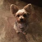 Cathy Johnston - @cathy.johnston.63 - Instagram