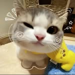 Cathy Joy - @iamcathy511 - Instagram