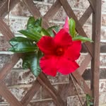 Catherine Mast Joyner - @cathyjoyner.realtor - Instagram