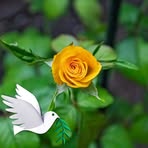 Cathy Judd - Facebook