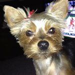 Cathy - @cathykaplan9 - Instagram