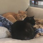 Cathy Kaplan - @catkaplan - Instagram