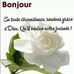 Cathy Kaufmann - Facebook