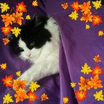 Cathy Keller - @cathy.keller.14 - Instagram