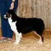 Cathy kenny - @cathy.kenny4 - TikTok