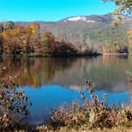 Cathy Kerns - @gardennanny56 - Instagram