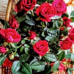 Cathy Kinney - @cathy.kinney.5872 - Instagram