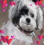 Cathy Kinney - Facebook