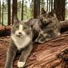 Cathy Kinney - @cathykinney0427 - TikTok