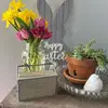 sheltongang98 - @cathykitchenshelt - TikTok