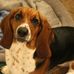 Cathy Kittrell - Facebook
