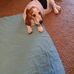 Cathy Kittrell - Facebook