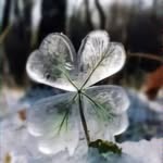Cathy Knight - @cathyknight6671 - Instagram
