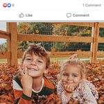 Cathy Knight - @cknight0312 - Instagram