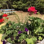 Cathy LaFleche - @laflechecathy - Instagram