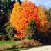 Cathy Baker Brooks Lammers - Facebook