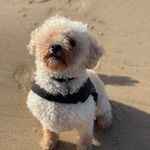 Cathy Langan - @catherinelangan2023 - Instagram